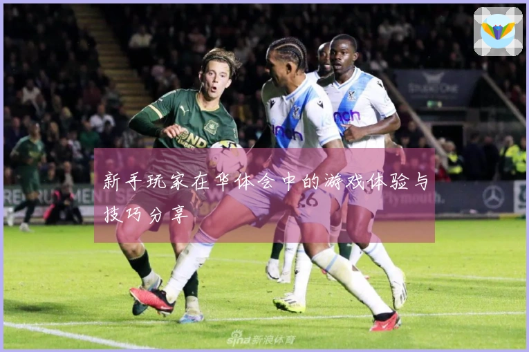 新手玩家在华体会中的游戏体验与技巧分享