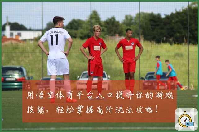 用悟空体育平台入口提升你的游戏技能，轻松掌握高阶玩法攻略！