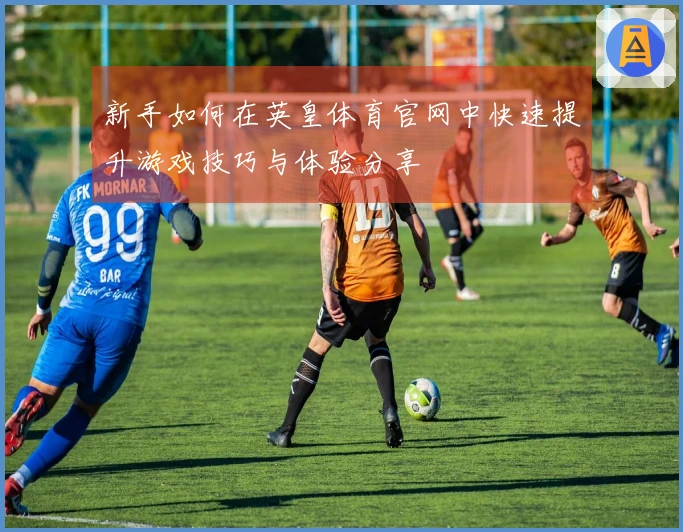 新手如何在英皇体育官网中快速提升游戏技巧与体验分享
