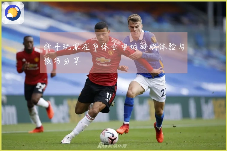 新手玩家在华体会中的游戏体验与技巧分享