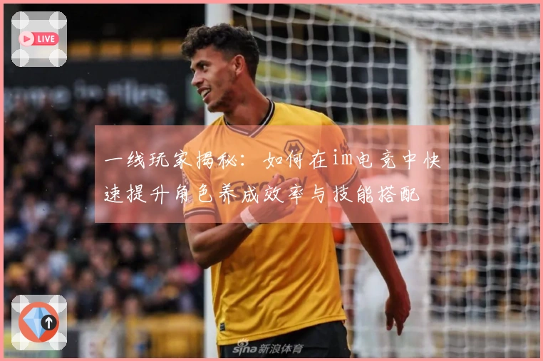 一线玩家揭秘：如何在im电竞中快速提升角色养成效率与技能搭配